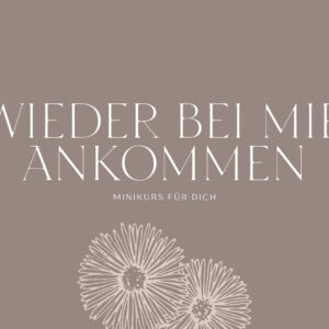 Wieder bei mir ankommen - Life Alignment Formel